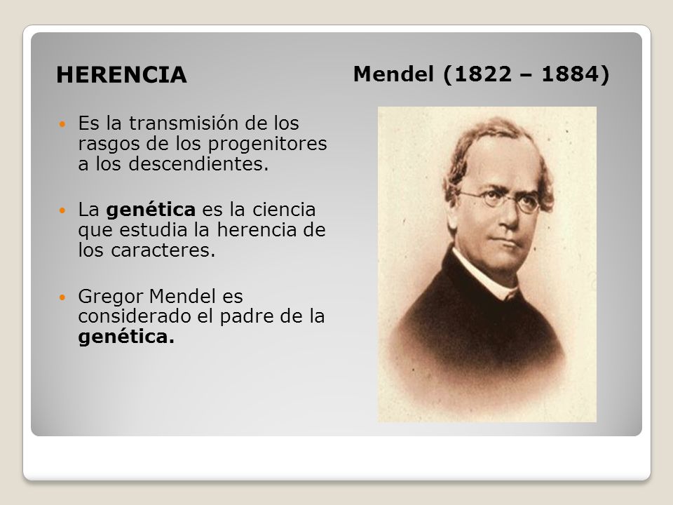 HERENCIA Mendel (1822 – 1884) Es la transmisión de los rasgos de los progenitores a los descendientes.
