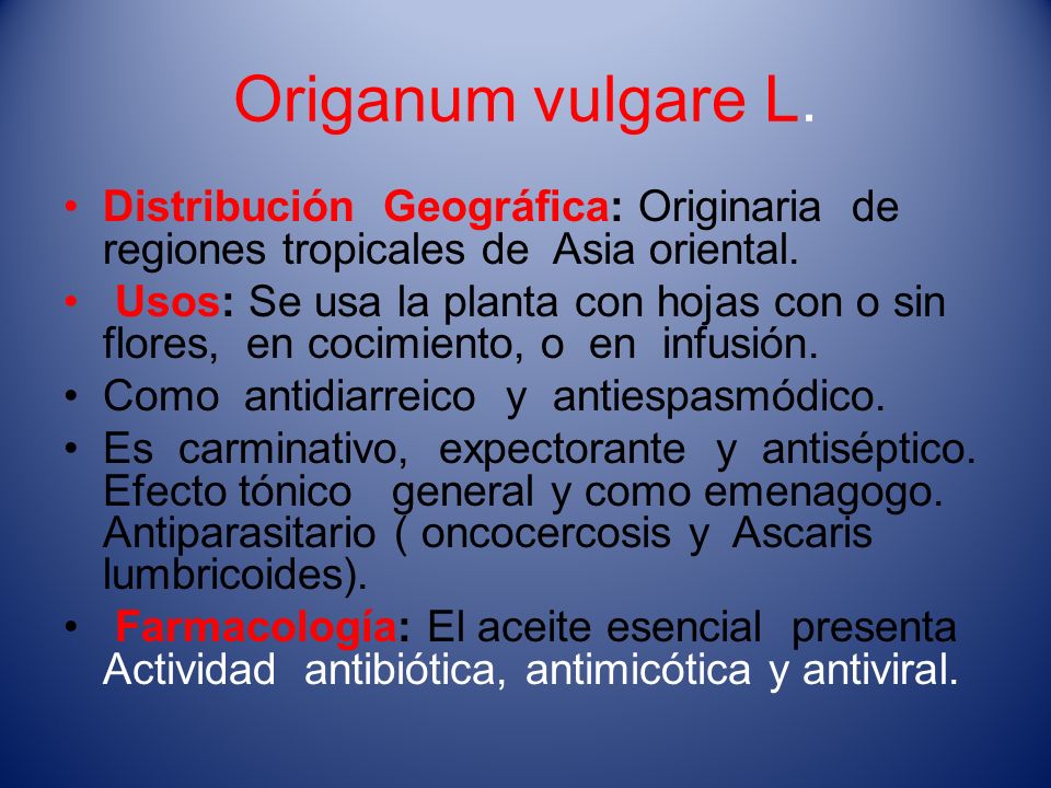 Origanum vulgare L. Distribución Geográfica: Originaria de regiones tropicales de Asia oriental.