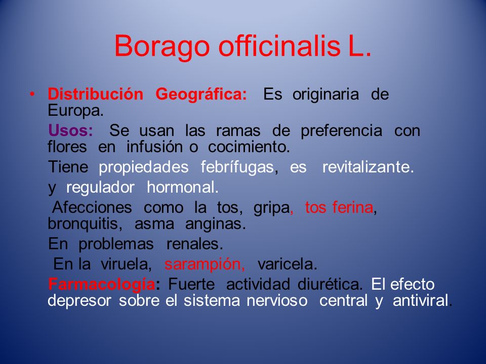 Borago officinalis L. Distribución Geográfica: Es originaria de Europa.