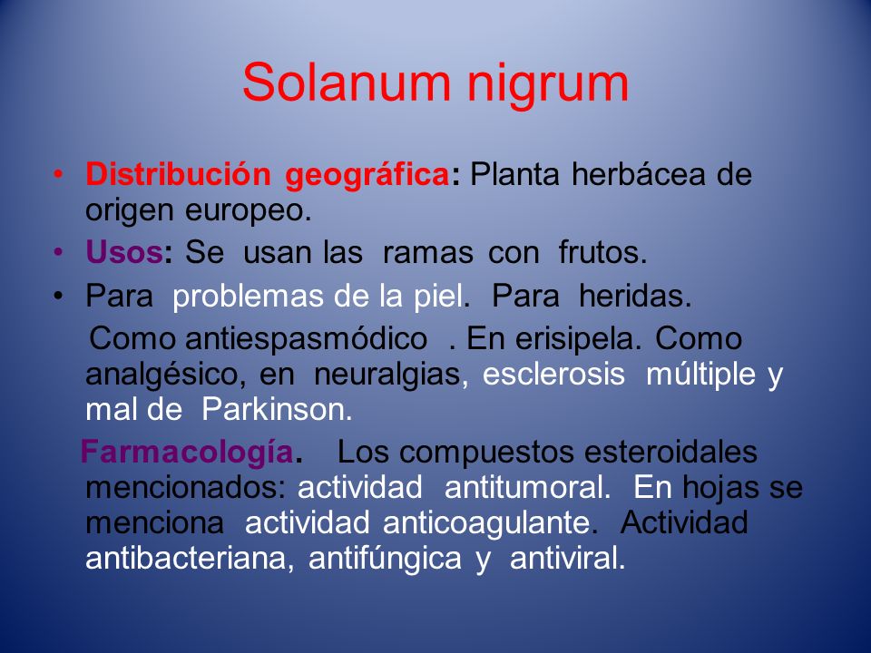 Solanum nigrum Distribución geográfica: Planta herbácea de origen europeo. Usos: Se usan las ramas con frutos.