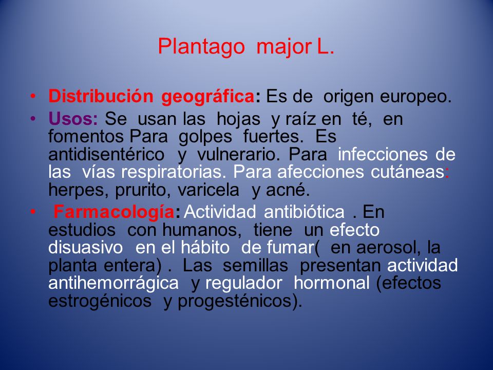 Plantago major L. Distribución geográfica: Es de origen europeo.