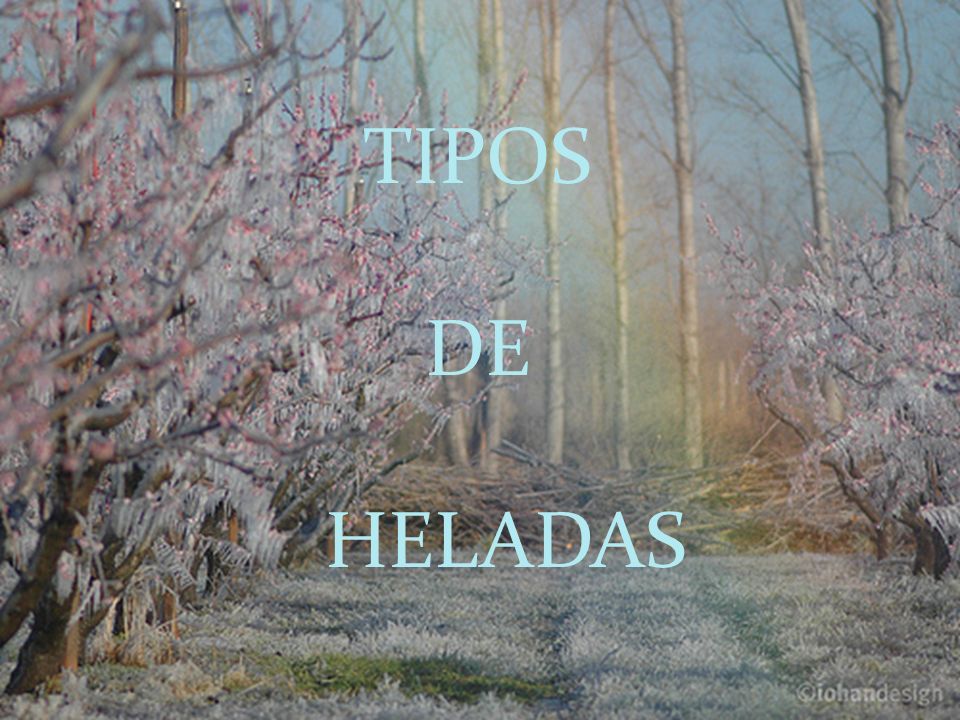 TIPOS DE HELADAS TIPOS DE HELADAS