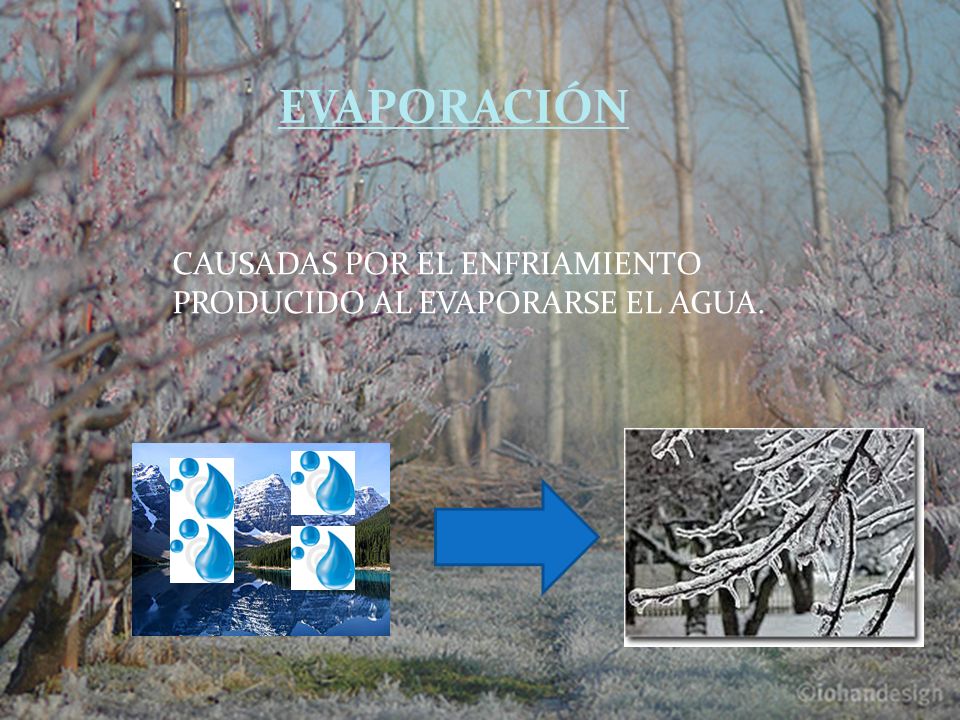 EVAPORACIÓN CAUSADAS POR EL ENFRIAMIENTO PRODUCIDO AL EVAPORARSE EL AGUA. evaporación.
