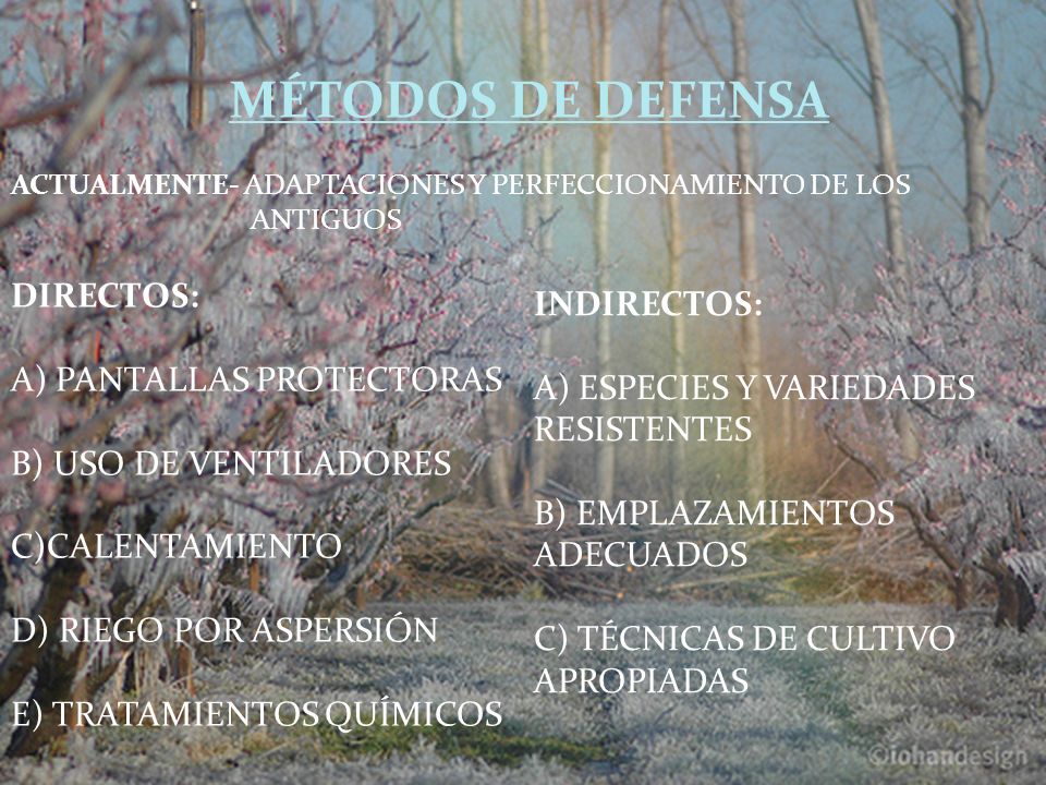 MÉTODOS DE DEFENSA DIRECTOS: INDIRECTOS: A) PANTALLAS PROTECTORAS