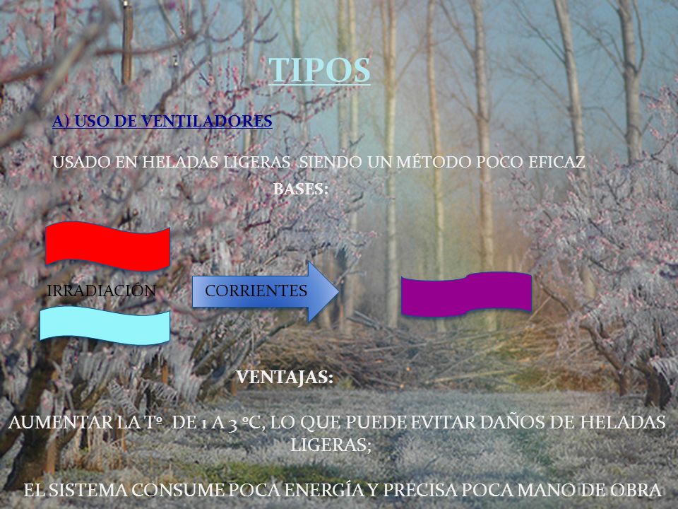 TIPOS A) USO DE VENTILADORES. USADO EN HELADAS LIGERAS SIENDO UN MÉTODO POCO EFICAZ. BASES: IRRADIACIÓN.