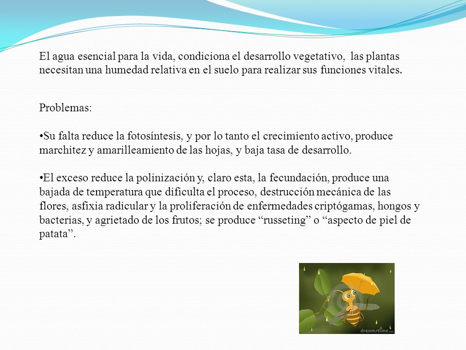 El agua esencial para la vida, condiciona el desarrollo vegetativo, las plantas necesitan una humedad relativa en el suelo para realizar sus funciones vitales.