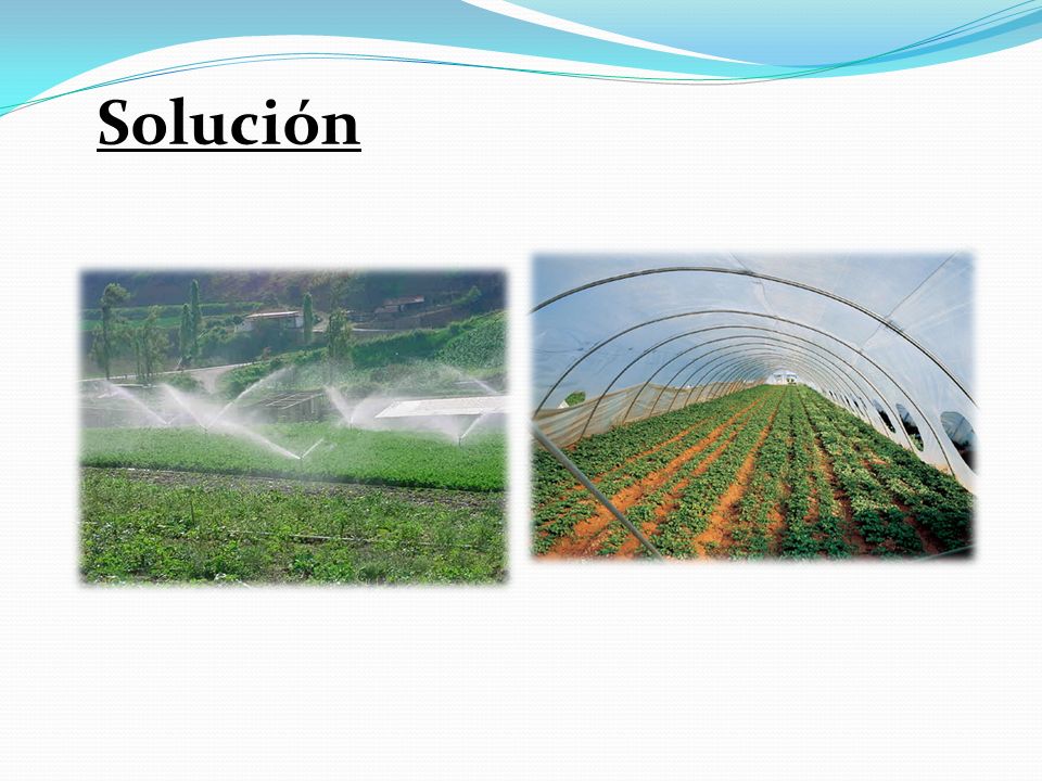 Solución Hay que buscar especies adecuadas, controlar el riego, o el uso de invernaderos.