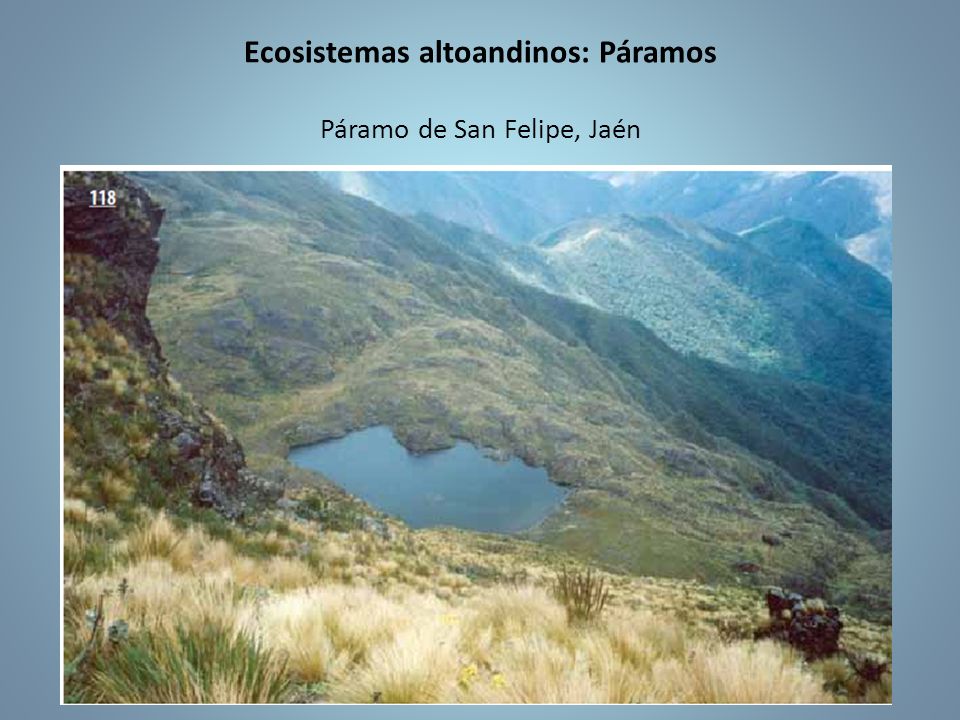 Ecosistemas altoandinos: Páramos Páramo de San Felipe, Jaén