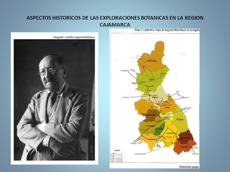 ASPECTOS HISTORICOS DE LAS EXPLORACIONES BOTANICAS EN LA REGION CAJAMARCA