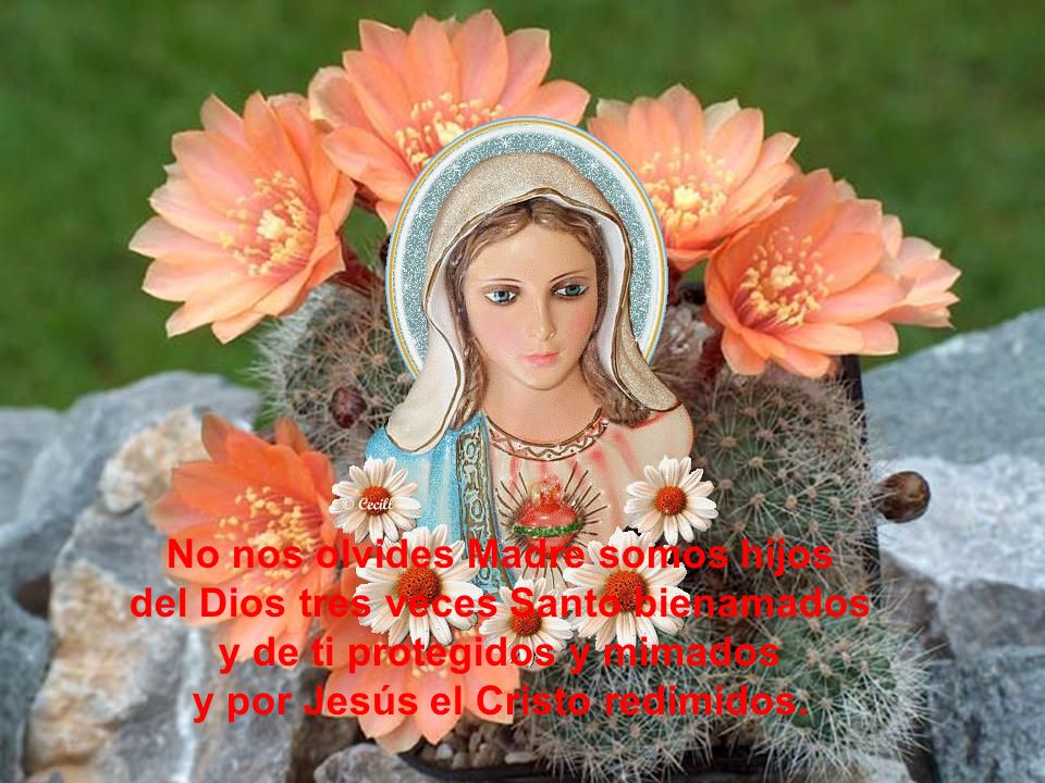 No nos olvides Madre somos hijos del Dios tres veces Santo bienamados