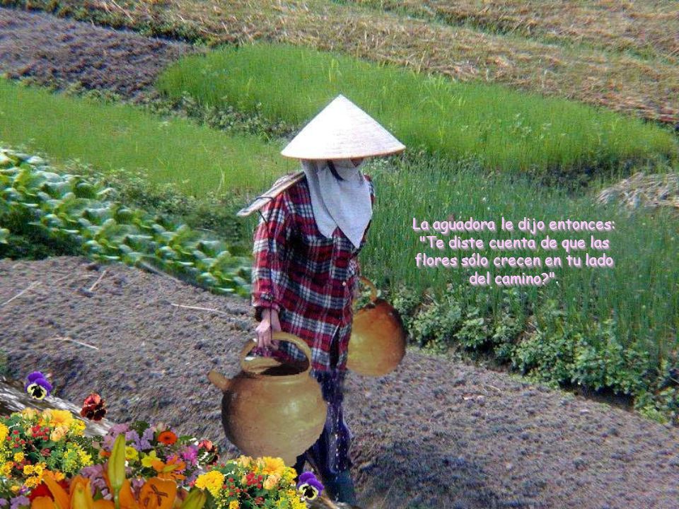 La aguadora le dijo entonces: Te diste cuenta de que las flores sólo crecen en tu lado del camino .