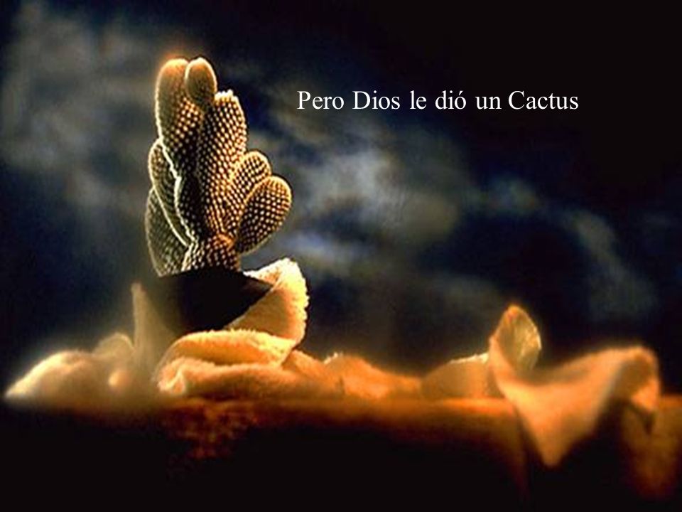 Pero Dios le dió un Cactus