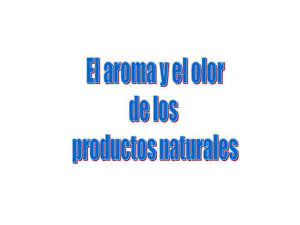 El aroma y el olor de los productos naturales