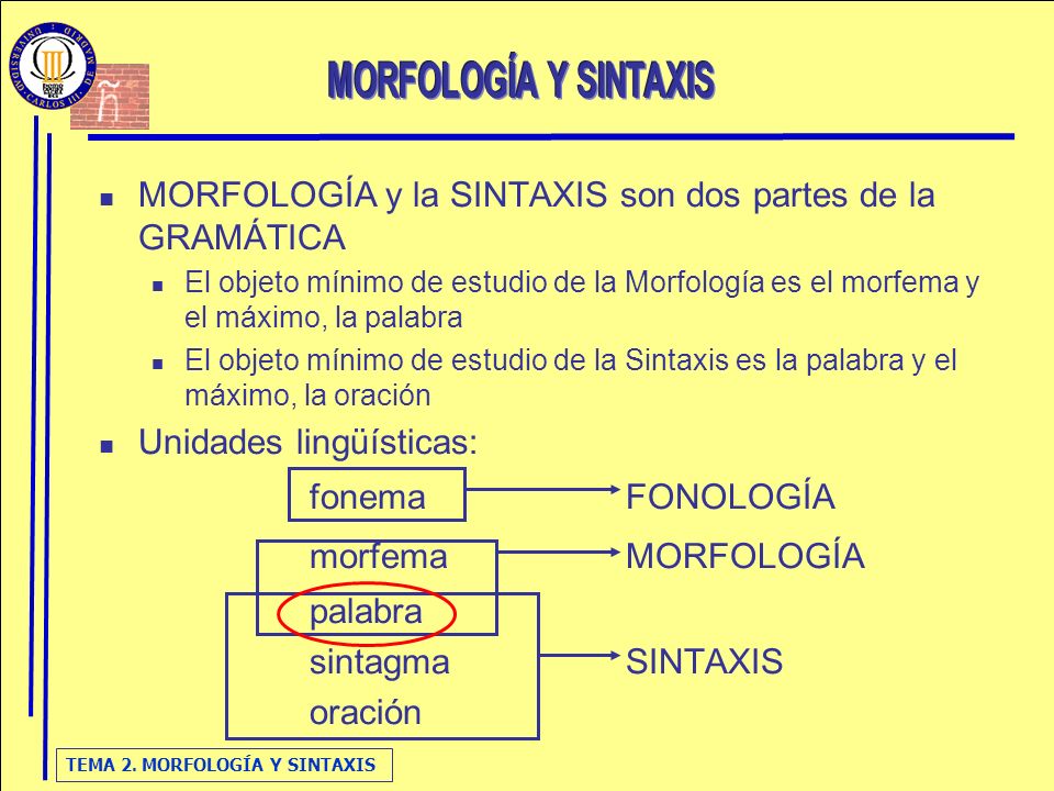 MORFOLOGÍA y la SINTAXIS son dos partes de la GRAMÁTICA