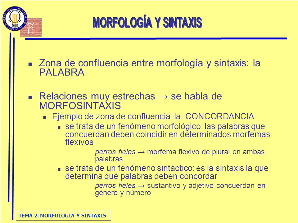 Zona de confluencia entre morfología y sintaxis: la PALABRA