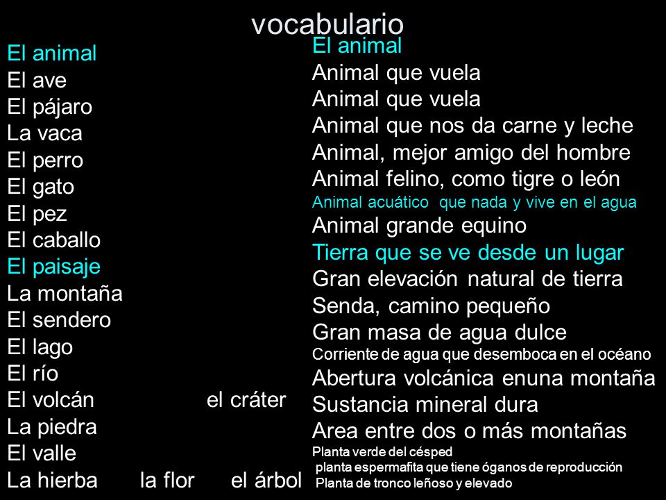 vocabulario El animal El animal Animal que vuela El ave El pájaro