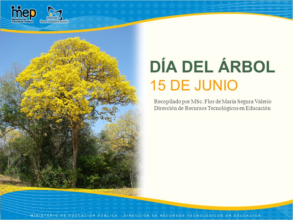 DÍA DEL ÁRBOL 15 DE JUNIO Recopilado por MSc. Flor de María Segura Valerio.