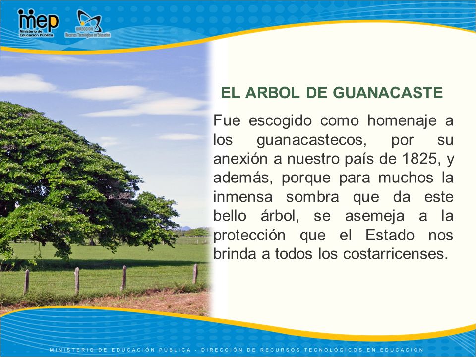 EL ARBOL DE GUANACASTE