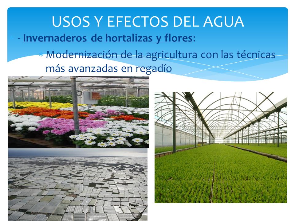 USOS Y EFECTOS DEL AGUA - Invernaderos de hortalizas y flores: