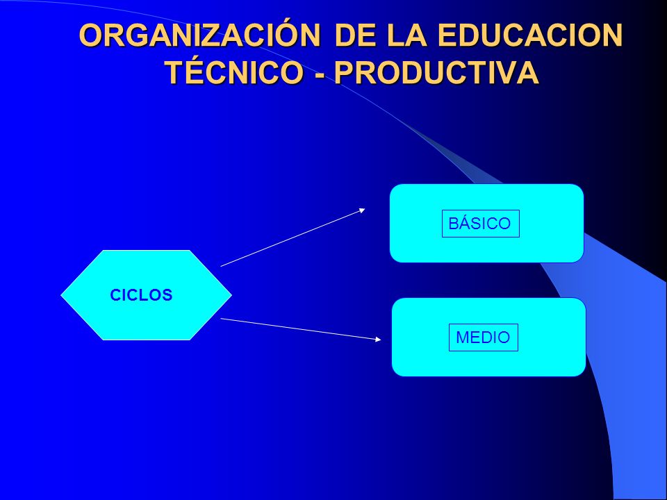 ORGANIZACIÓN DE LA EDUCACION TÉCNICO - PRODUCTIVA