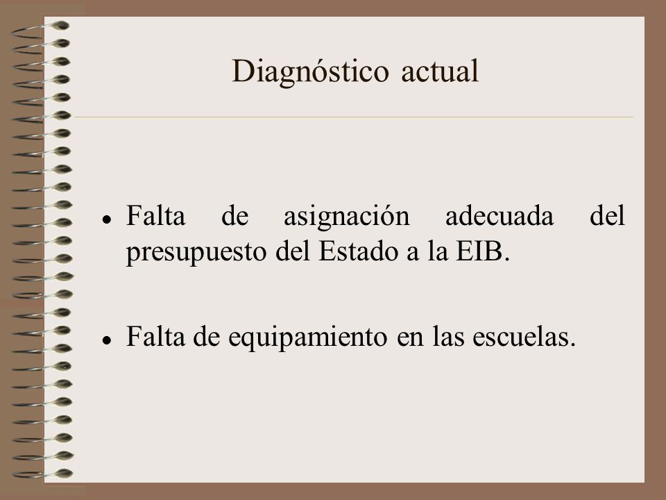 Diagnóstico actual Falta de asignación adecuada del presupuesto del Estado a la EIB.