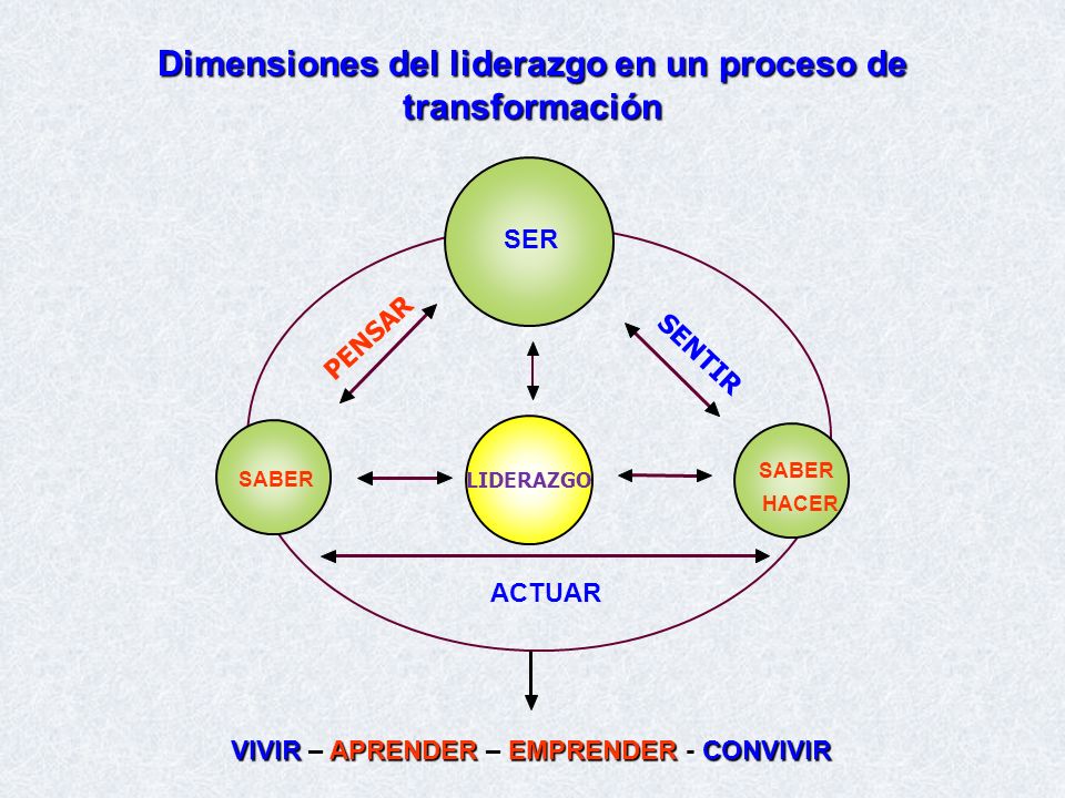 Dimensiones del liderazgo en un proceso de transformación
