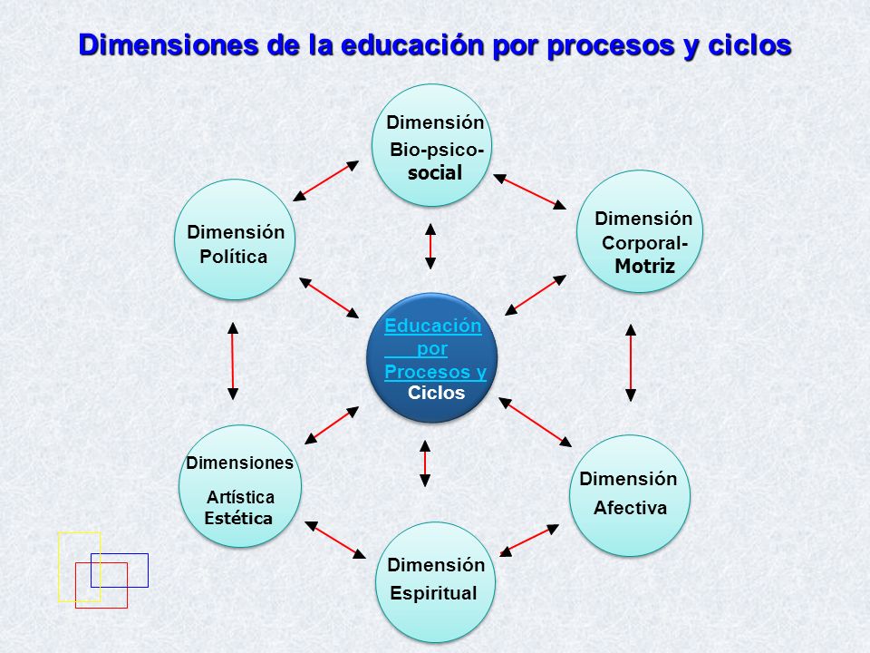 Dimensiones de la educación por procesos y ciclos