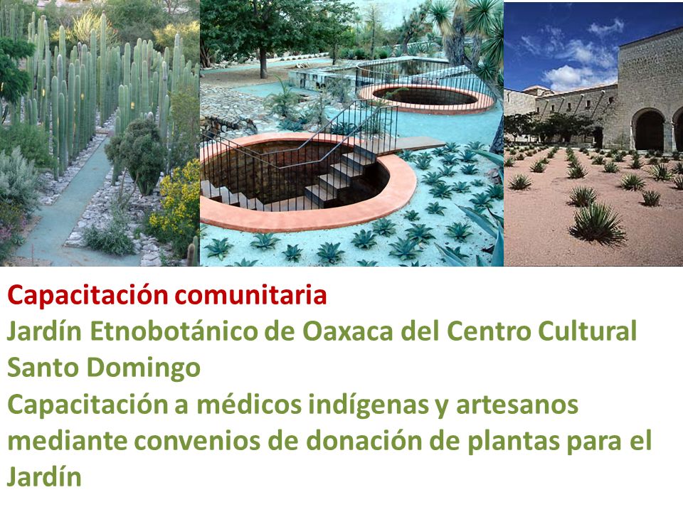 Capacitación comunitaria