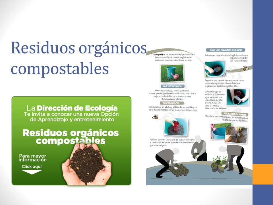 Residuos orgánicos compostables