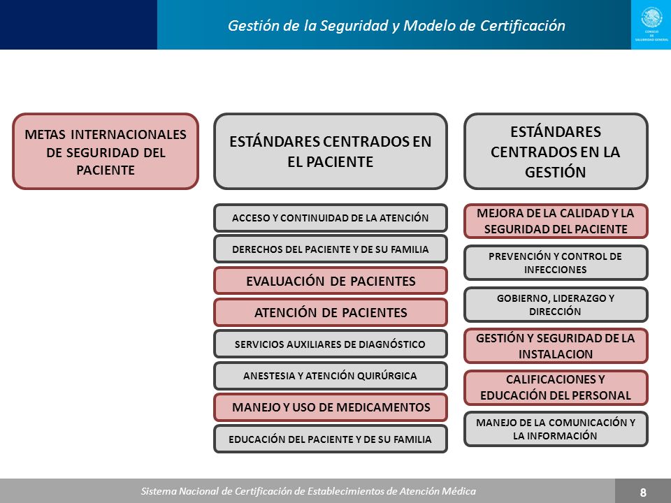 ESTÁNDARES CENTRADOS EN EL PACIENTE ESTÁNDARES CENTRADOS EN LA GESTIÓN