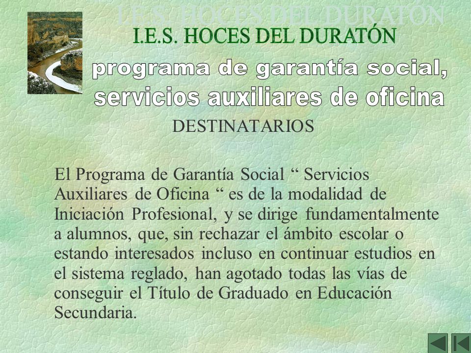 programa de garantía social, servicios auxiliares de oficina