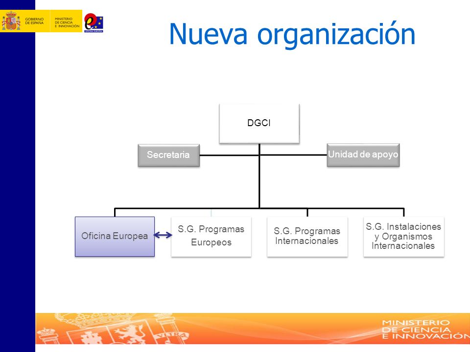 Nueva organización DGCI Oficina Europea Secretaria Unidad de apoyo