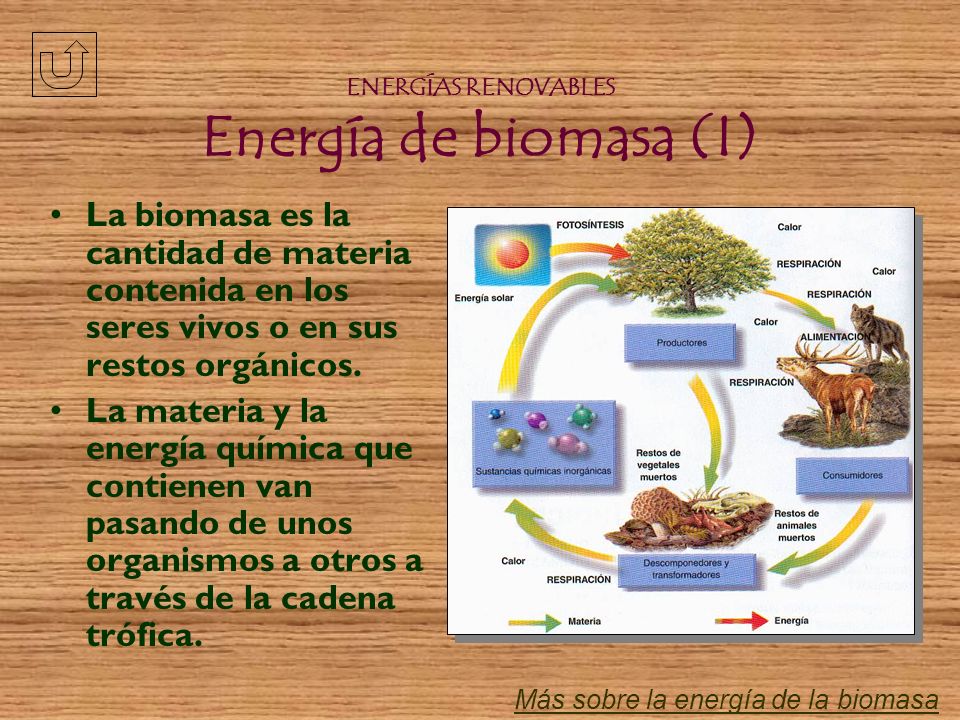 ENERGÍAS RENOVABLES Energía de biomasa (I)