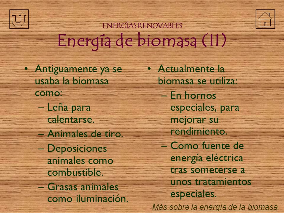 ENERGÍAS RENOVABLES Energía de biomasa (II)