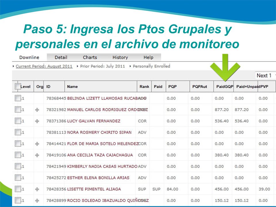 Paso 5: Ingresa los Ptos Grupales y personales en el archivo de monitoreo