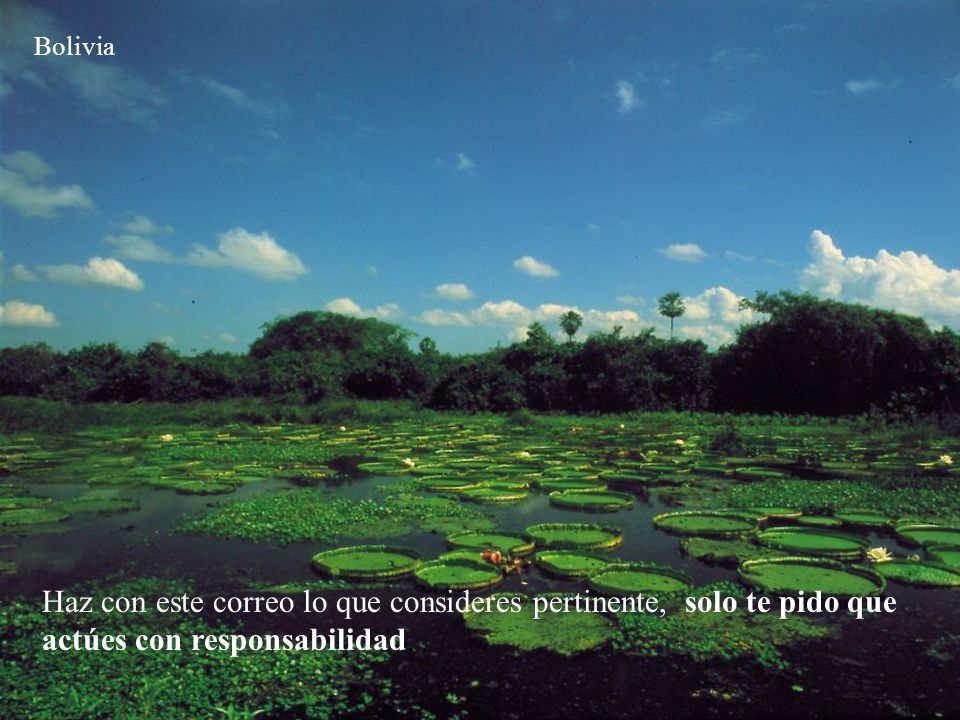 Bolivia Haz con este correo lo que consideres pertinente, solo te pido que actúes con responsabilidad.