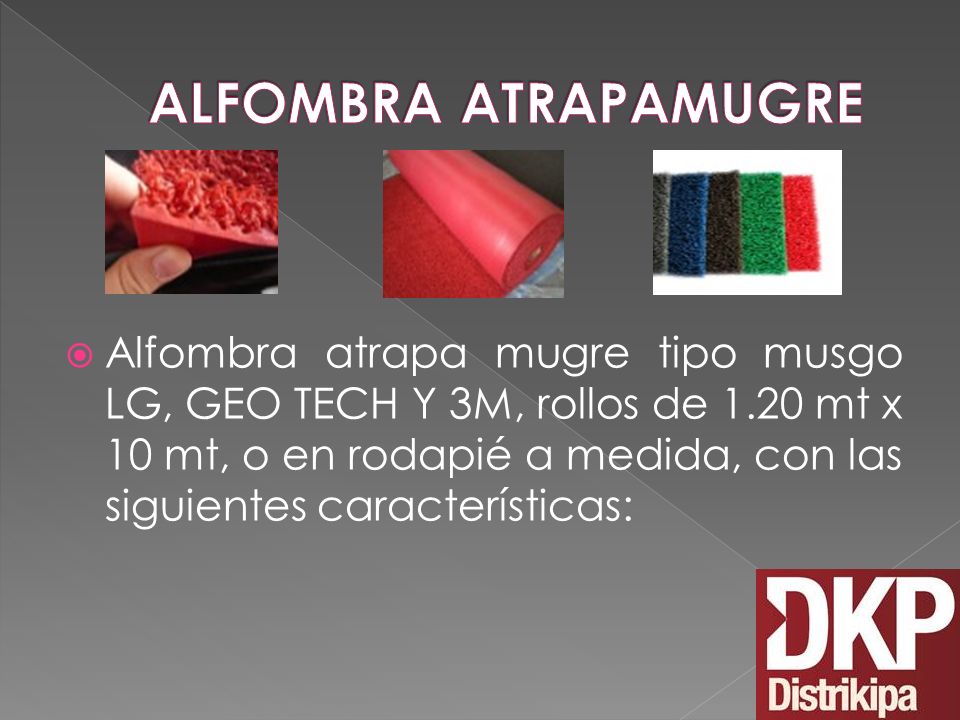 ALFOMBRA ATRAPAMUGRE