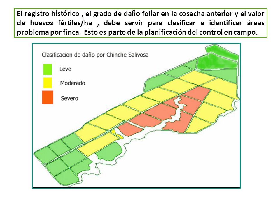 El registro histórico , el grado de daño foliar en la cosecha anterior y el valor de huevos fértiles/ha , debe servir para clasificar e identificar áreas problema por finca.