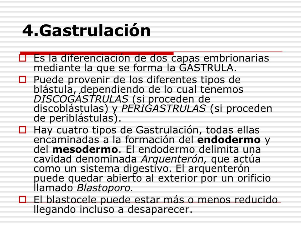 4.Gastrulación Es la diferenciación de dos capas embrionarias mediante la que se forma la GÁSTRULA.