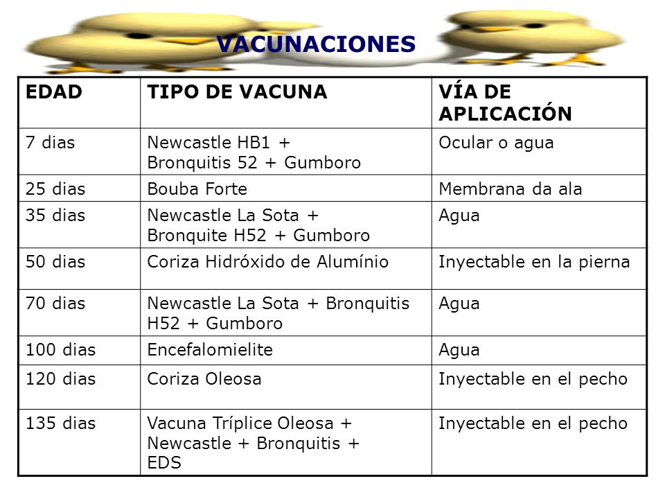 VACUNACIONES EDAD TIPO DE VACUNA VÍA DE APLICACIÓN 7 dias