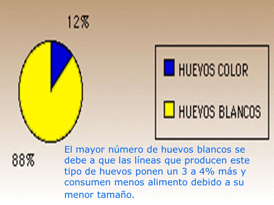 El mayor número de huevos blancos se debe a que las líneas que producen este tipo de huevos ponen un 3 a 4% más y consumen menos alimento debido a su menor tamaño.
