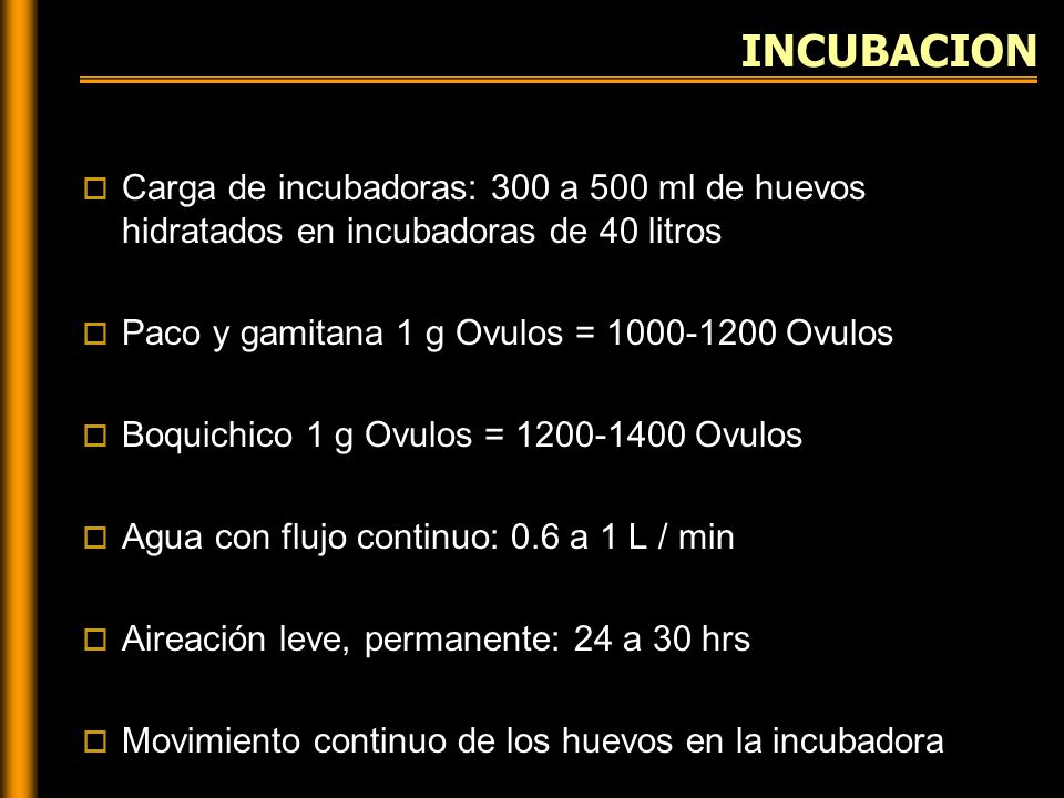 INCUBACION Carga de incubadoras: 300 a 500 ml de huevos hidratados en incubadoras de 40 litros. Paco y gamitana 1 g Ovulos = Ovulos.