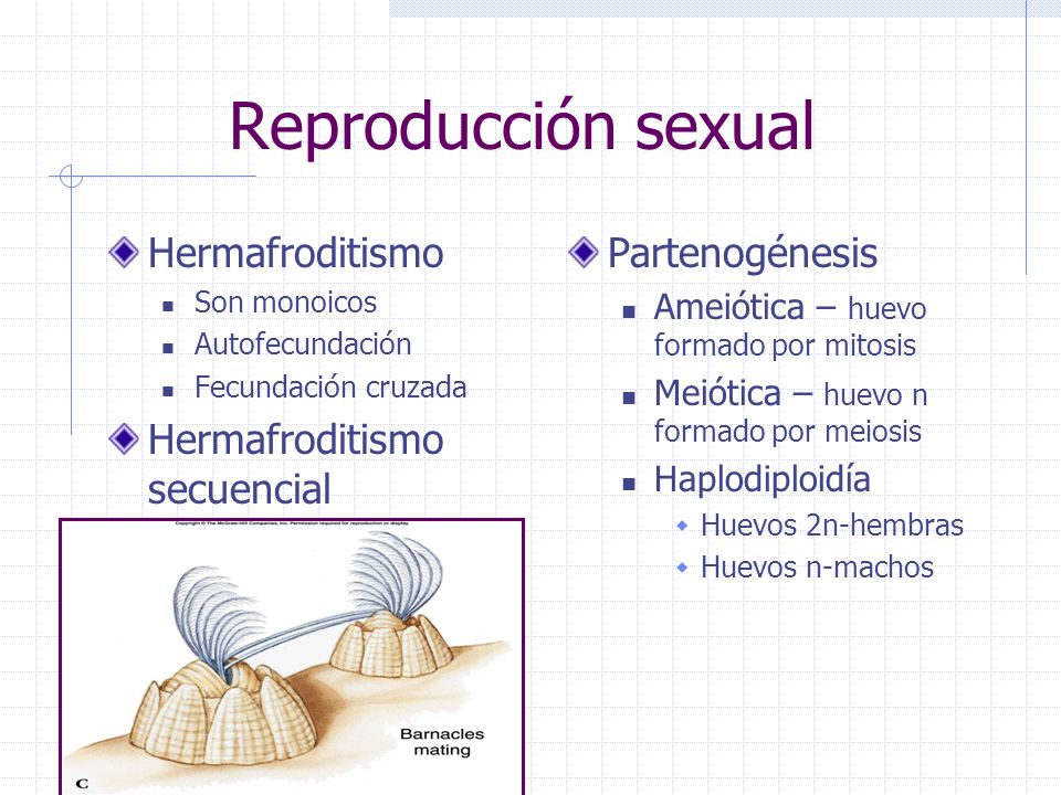Reproducción sexual Hermafroditismo Hermafroditismo secuencial