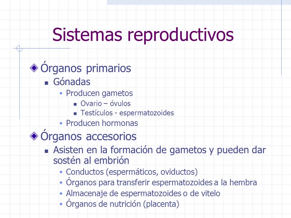 Sistemas reproductivos