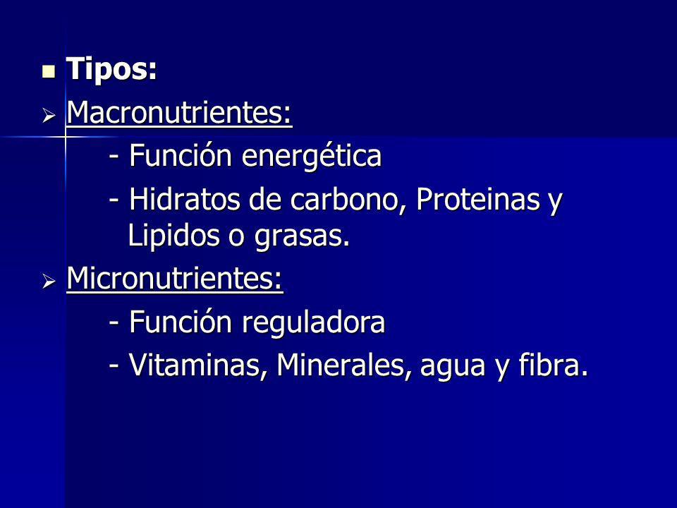 Tipos: Macronutrientes: - Función energética. - Hidratos de carbono, Proteinas y Lipidos o grasas.