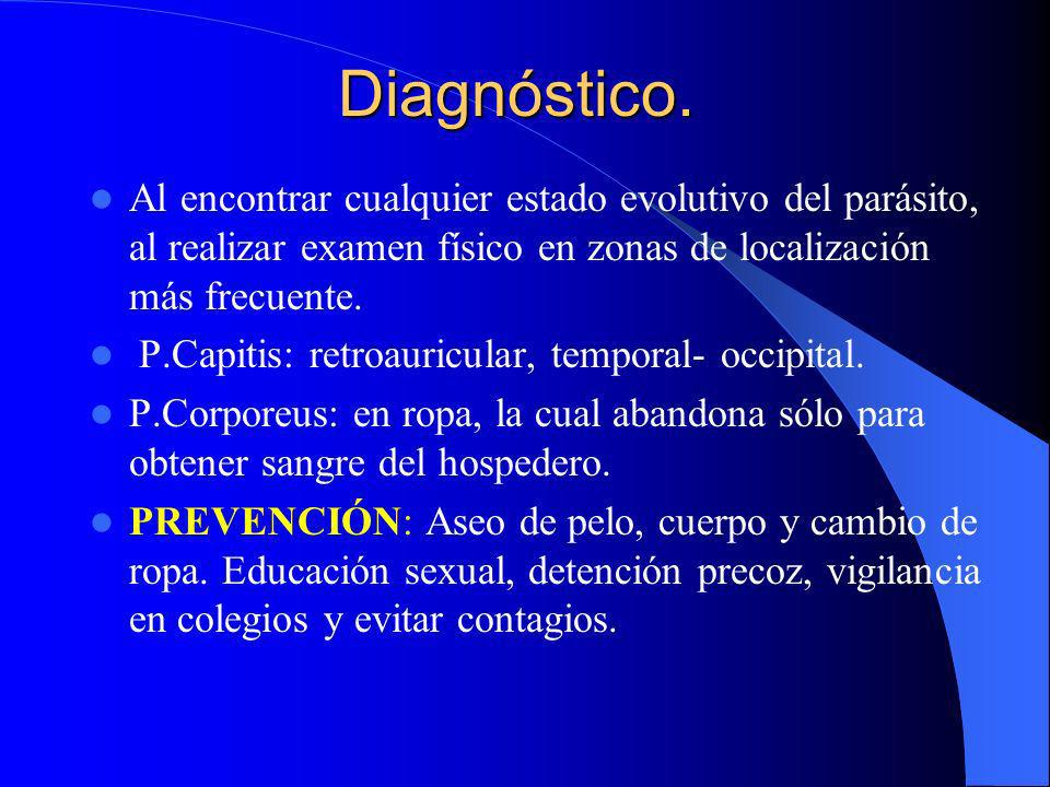 Diagnóstico. Al encontrar cualquier estado evolutivo del parásito, al realizar examen físico en zonas de localización más frecuente.
