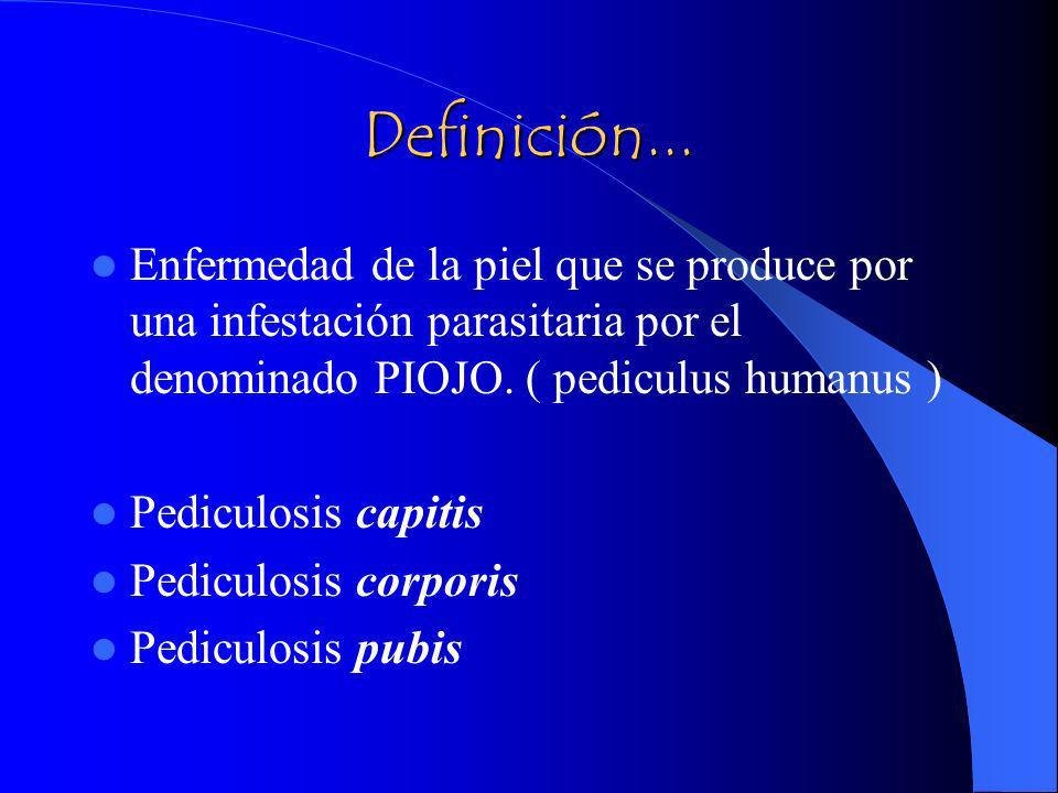 Definición... Enfermedad de la piel que se produce por una infestación parasitaria por el denominado PIOJO. ( pediculus humanus )