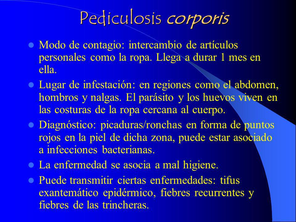 Pediculosis corporis Modo de contagio: intercambio de artículos personales como la ropa. Llega a durar 1 mes en ella.