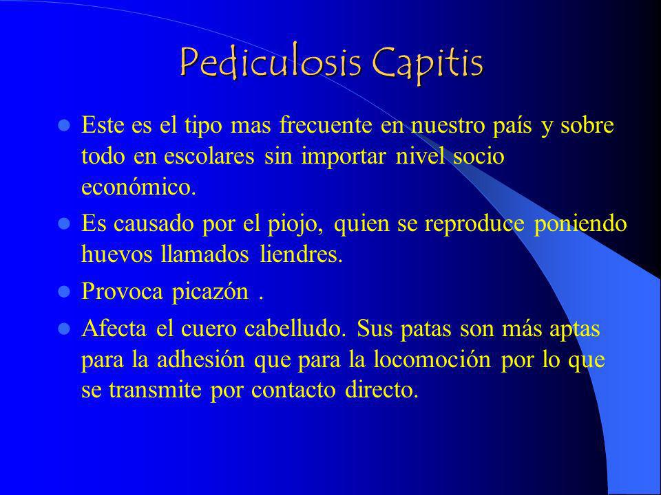 Pediculosis Capitis Este es el tipo mas frecuente en nuestro país y sobre todo en escolares sin importar nivel socio económico.