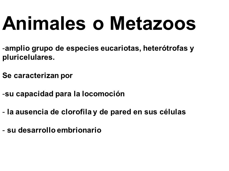 Animales o Metazoos amplio grupo de especies eucariotas, heterótrofas y pluricelulares. Se caracterizan por.
